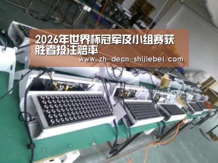 世界杯投注案例展示一