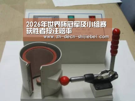 世界杯投注案例展示六