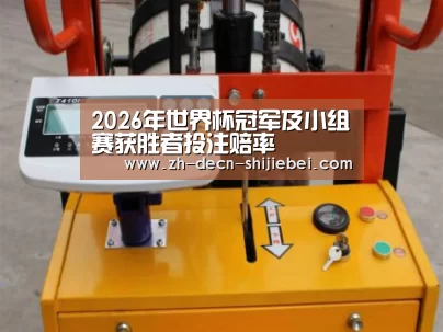 世界杯投注案例展示三(图1)