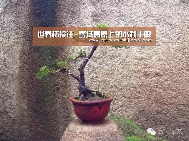 世界杯投注-雪域高原上的水利丰碑(图2) 世界杯投注