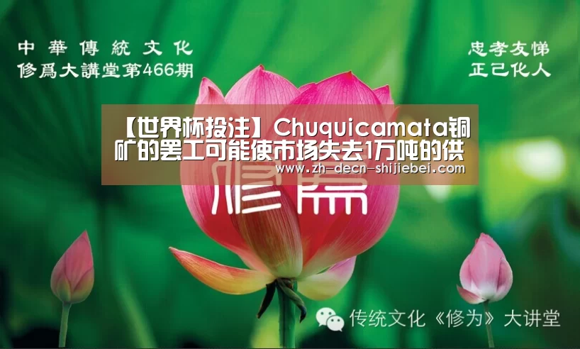世界杯投注