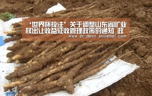 世界杯投注