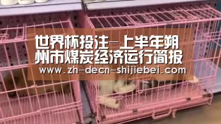 世界杯投注-上半年朔州市煤炭经济运行简报(图1) 世界杯投注