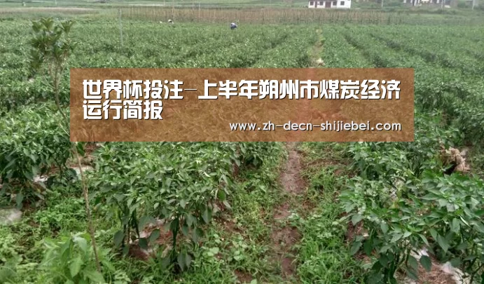 世界杯投注-上半年朔州市煤炭经济运行简报(图3) 世界杯投注